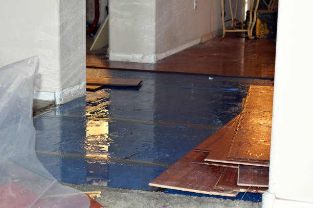 Professional Water Extraction technician working in Chatfield, OH